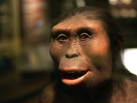 El "homo antecessor" el primer capitalista