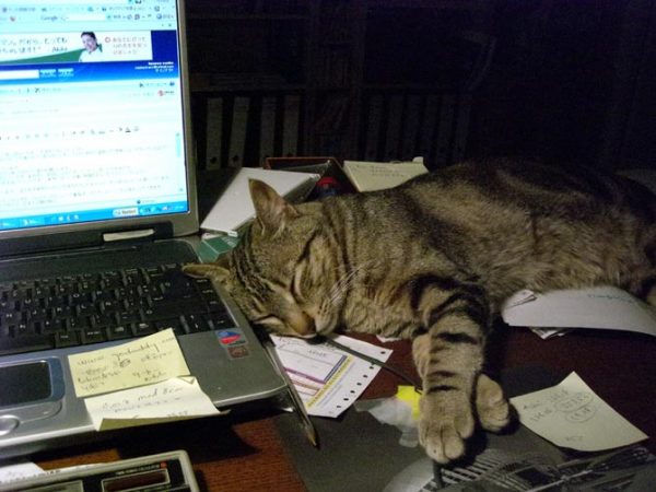 Soseki, dormido mientras aprendía a escribir