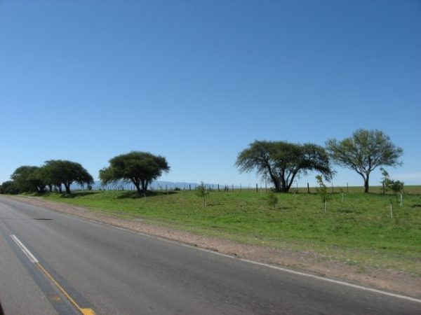 Attimo