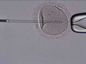 terapias de fertilidad