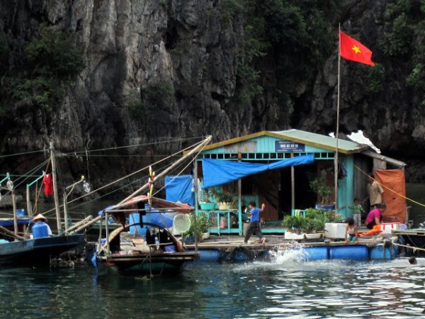 Vietnam en etapas (II).Bahía de Ha-Long
