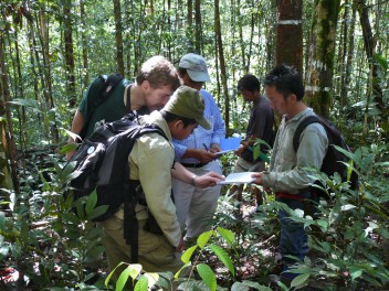 Las ciencias agrícolas y forestales y su utilidad