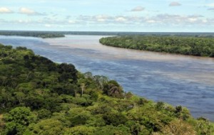 Vista aérea del bosque amazónico, cerca de Manaus, la capital del estado brasilero de Amazonas. Fotografía cortesía de Neil Palmer (CIAT).