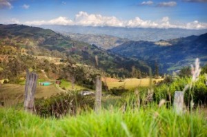 Hasta 20 millones de hectáreas de las tierras agrícolas de Colombia se usan ineficientemente y podrían alojar nuevas plantaciones de palma aceitera. Fotografía cortesía de Christopher Schoenbohm