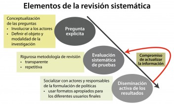 Elements of a systematic reviews, adaptado de Petrokofsky et al. 2011 y reproducido con permiso de la Commonwealth of Forestry Association