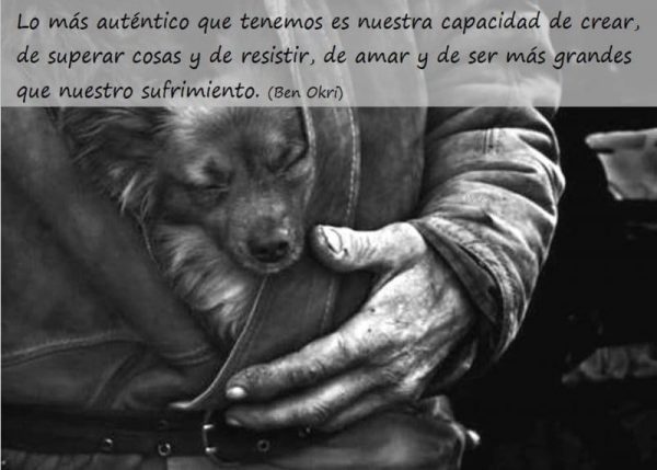perrito