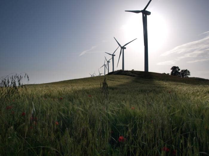 Molinos de viento. Energías renovables