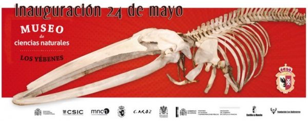 Museo de Ciencias Naturales Los Yébenes