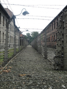 Alambrada de Auschwitz. Foto: Marta Oria de Rueda