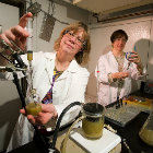 Terapia celular, nuevos materiales y neurociencias son algunas de las áreas de investigación de los Cepid USDAGov/Flickr 