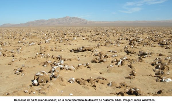 depositos_de_halitat