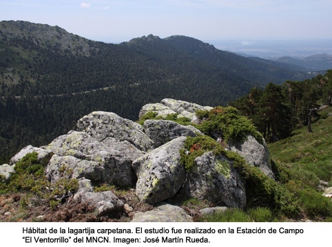 Foto: http://www.mncn.csic.es Agencia SINC