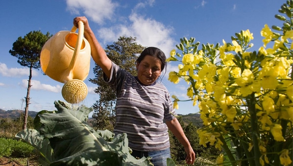 Flickr/Oxfam International