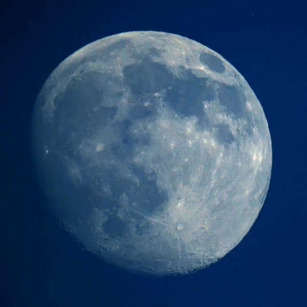 Luna: wolfpix