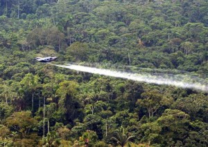 Fumigación de cultivos ilícitos con glifosato en la selva colombiana