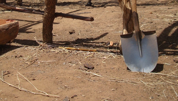 Informe especial: Alimentación sostenible Agroecología: fuente inagotable de conocimiento agrícola ILRI/Susan MacMillan