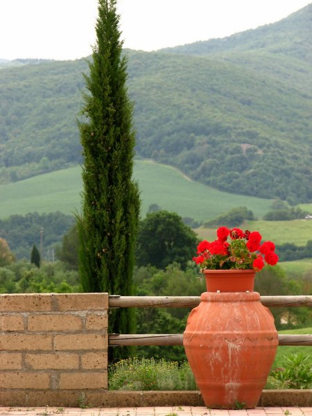 Foto: Conanil