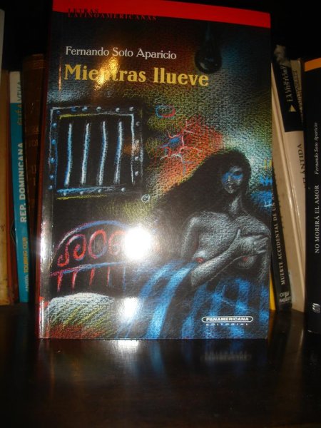 Mientras llueve, de Fernando Soto Aparicio