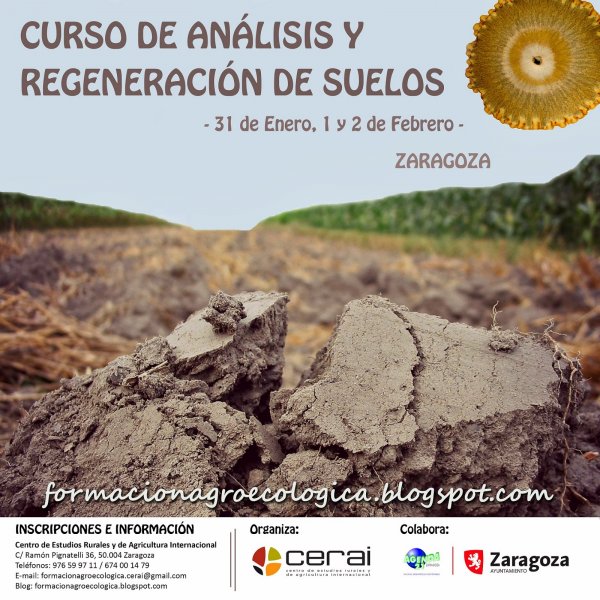 Análisis y regeneración de suelos