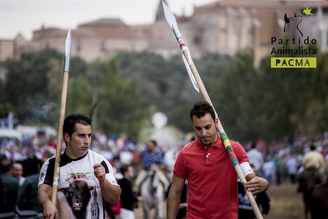 toro de la vega 2014
