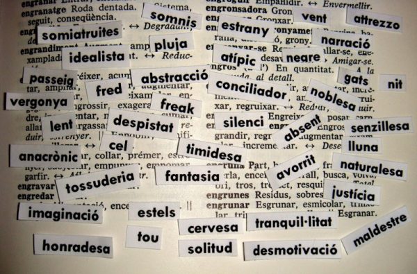 diccionario vocabulario palabras