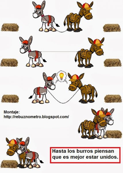 BURROS JUNTOS