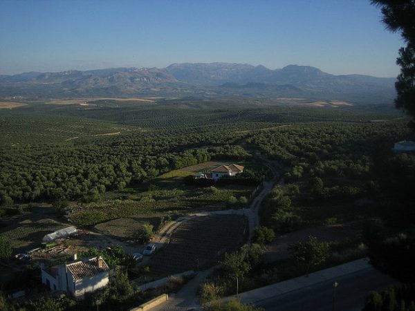 Cerros de Ášbeda