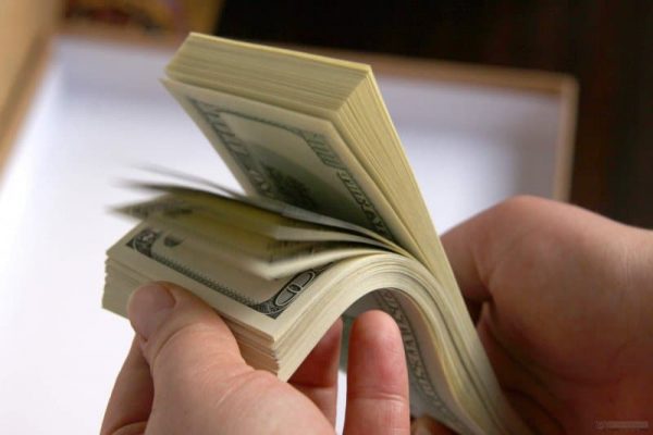 dólares dinero