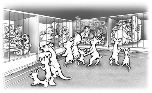 zoo humano