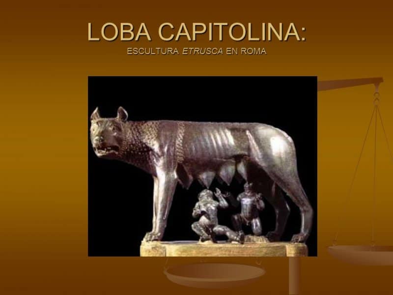 loba