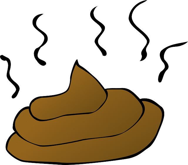 poop-34629_640
