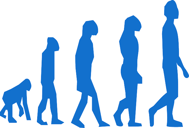evolución