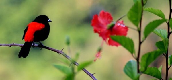 Costa Rica 3