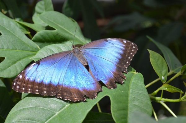 Costa Rica 4