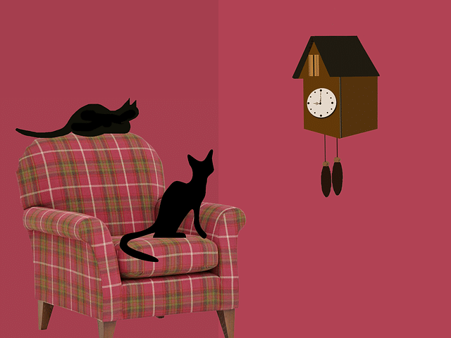 gatos