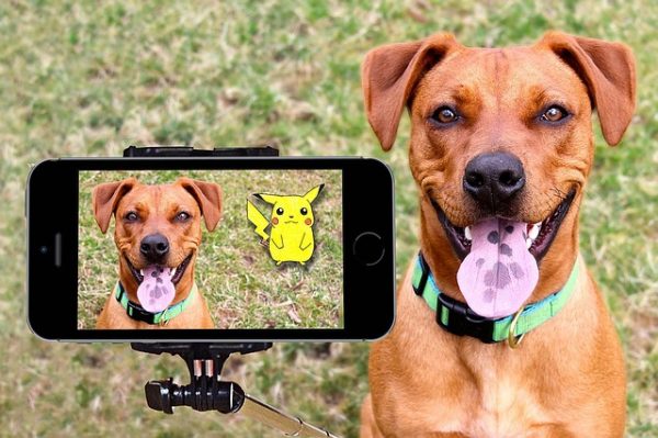 pokemon go 1