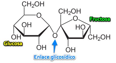 Azúcar: la gasolina del cuerpo - EL LIBREPENSADOR Azúcar: la gasolina del cuerpo - EL LIBREPENSADOR